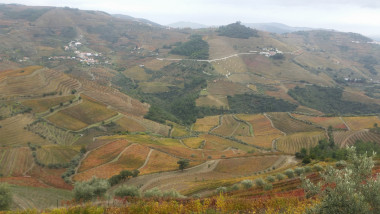 Vallée de Douro // Douro valley